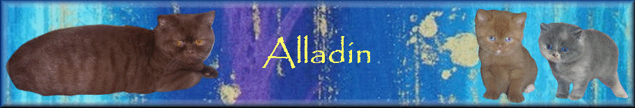 Alladin