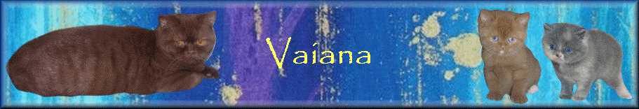 Vaiana