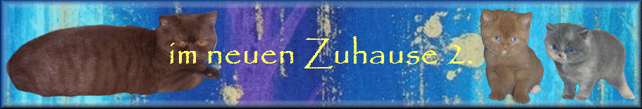 im neuen Zuhause 2.