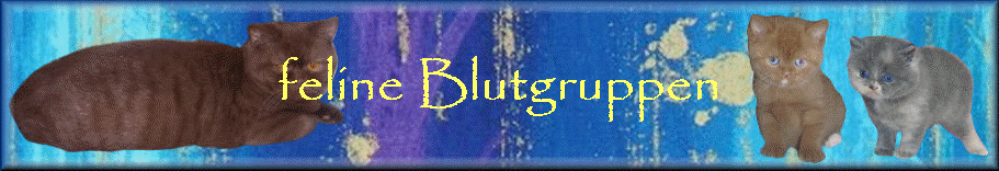 feline Blutgruppen