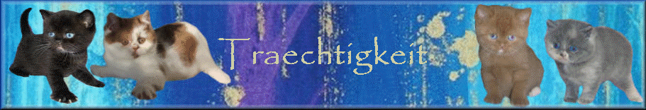 Traechtigkeit