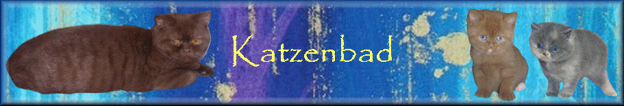 Katzenbad