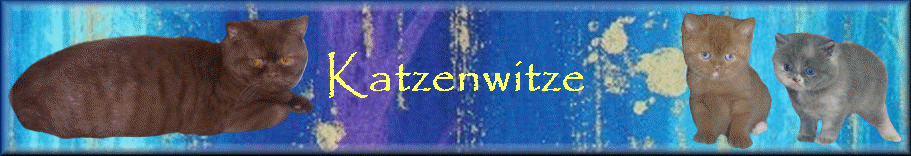 Katzenwitze