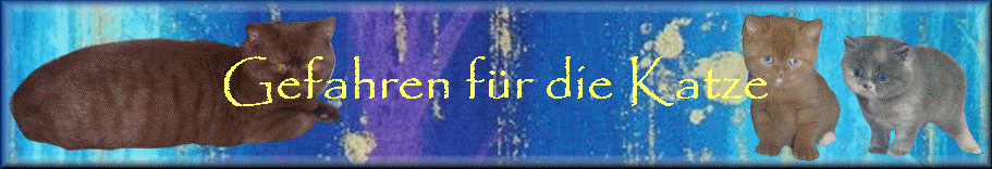 Gefahren fr die Katze