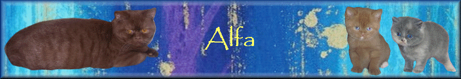 Alfa