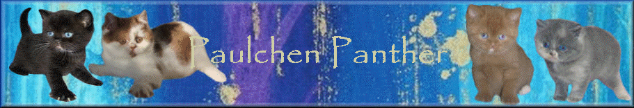 Paulchen Panther