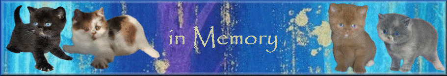 in Memory