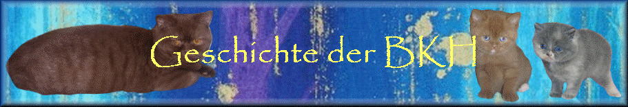 Geschichte der BKH