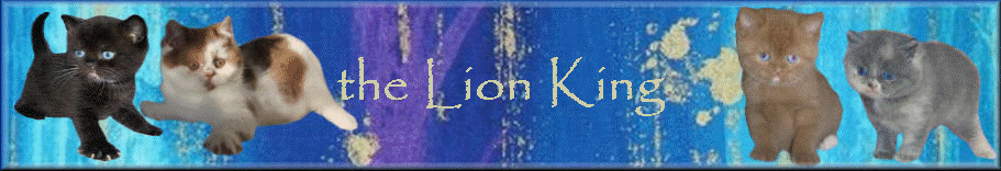 the Lion King