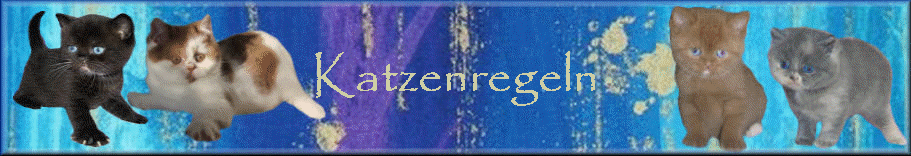 Katzenregeln